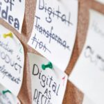 pexels-photo-3782231